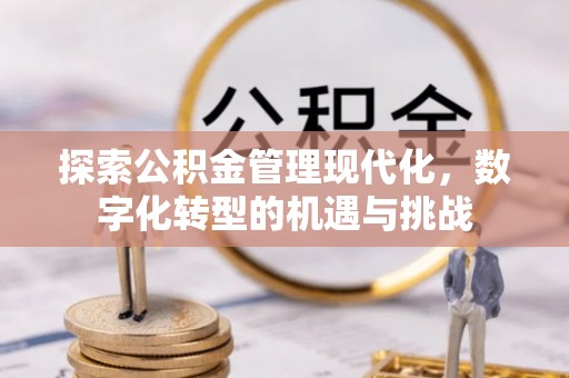 宁化探索公积金管理现代化，数字化转型的机遇与挑战