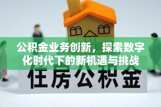 宁化公积金业务创新，探索数字化时代下的新机遇与挑战