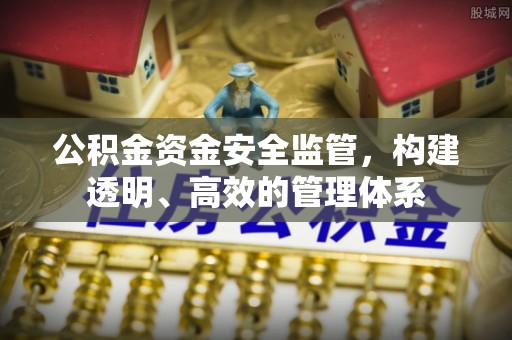 宁化公积金资金安全监管，构建透明、高效的管理体系