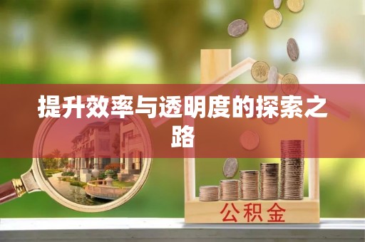 宁化提升效率与透明度的探索之路