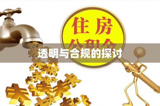 宁化透明与合规的探讨