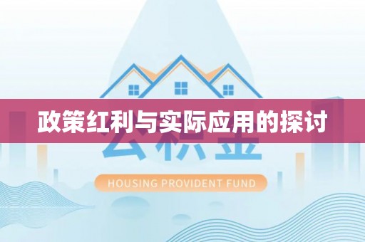 宁化政策红利与实际应用的探讨