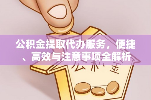 宁化公积金提取代办服务，便捷、高效与注意事项全解析