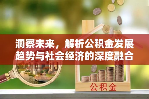 宁化洞察未来，解析公积金发展趋势与社会经济的深度融合