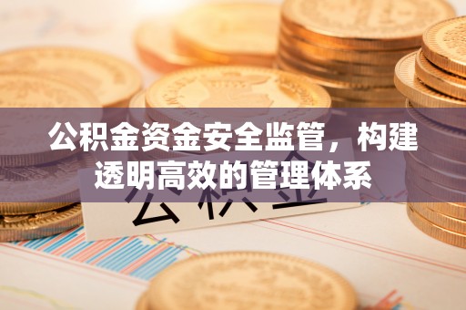 宁化公积金资金安全监管，构建透明高效的管理体系