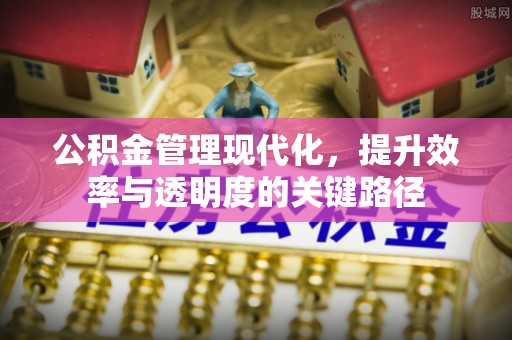 宁化公积金管理现代化，提升效率与透明度的关键路径