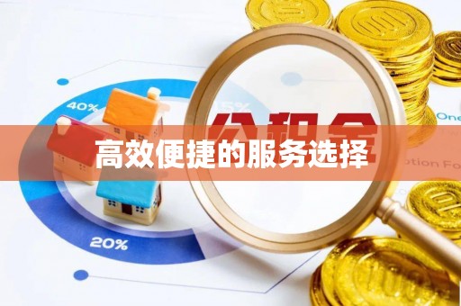 宁化高效便捷的服务选择